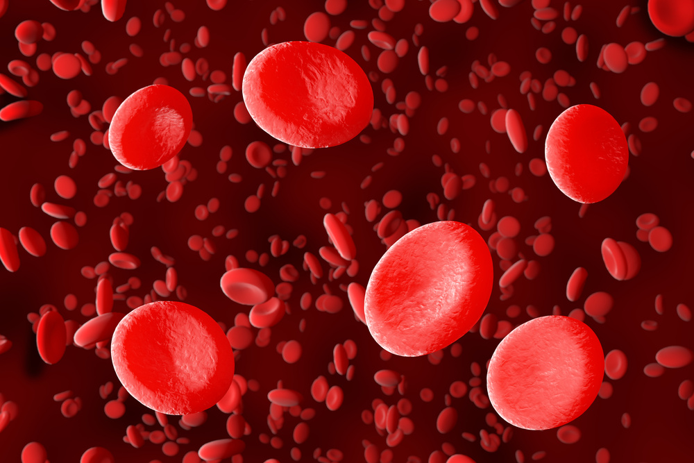 Red blood cells.